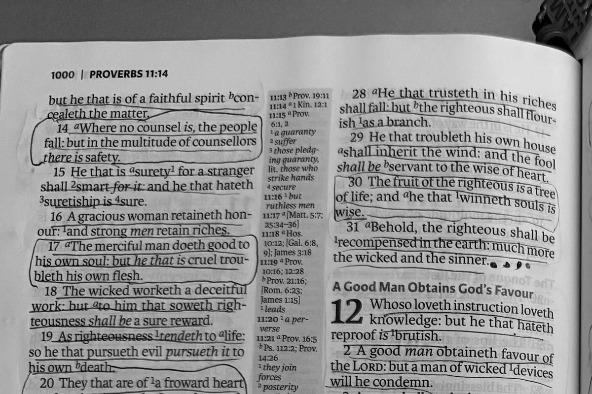 Proverbs 11 in an open Bible, verse 30 boxed in pen